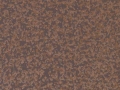 Metallic Rust