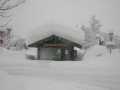 Snow guards (18)