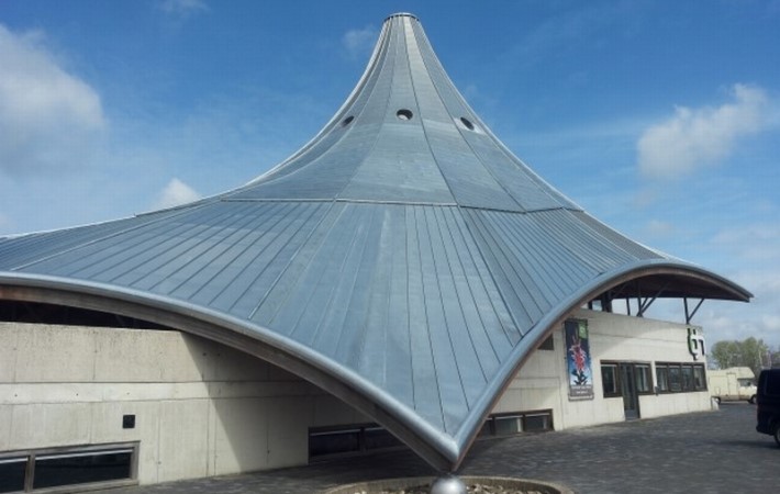custom shaped roof with Naturel zinc shingles