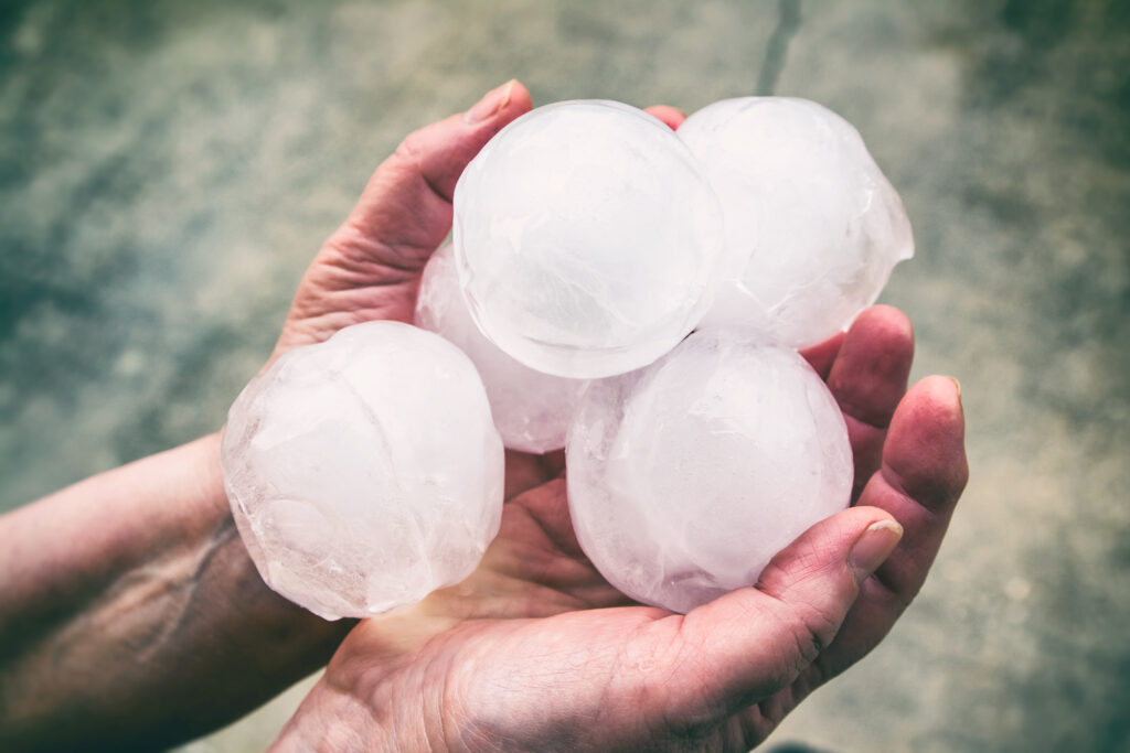 Hands holding giant hail stones