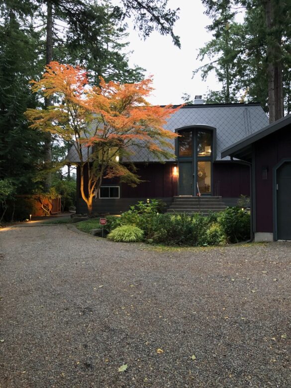 Home in woods with zinc metal roofing