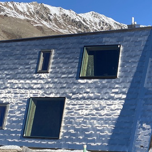 home with plumeria metal siding