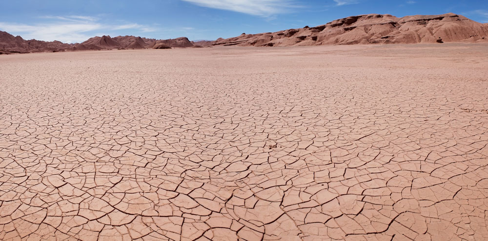 desert landscape