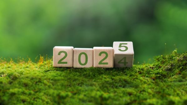 Commit to sustainable building practices in the new year and plan with permanence that translates to centuries
